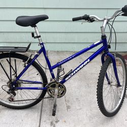Schwinn Bike