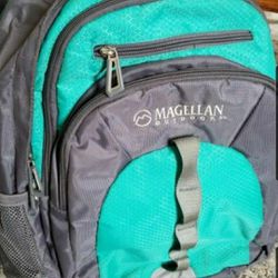Magellan Outdoor Backpack.  Color  - Light Green and Grey.