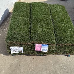 Sod For Sale ( Marathon & St Augustine)