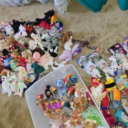 Entire Beanie Baby Collection 