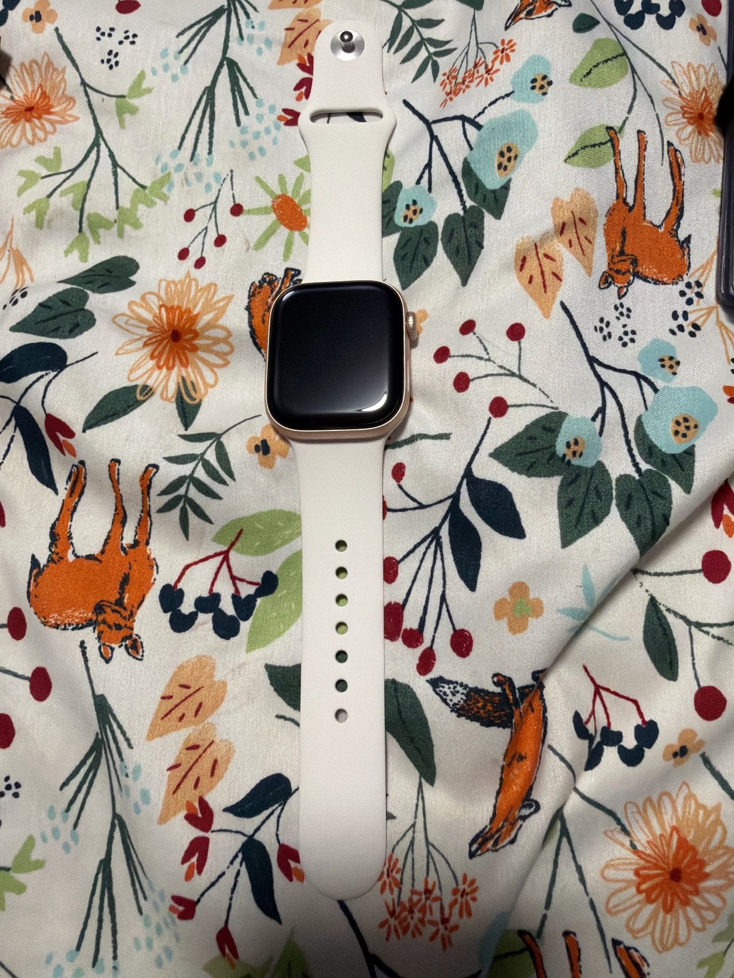 Apple Watch series 11 42mm