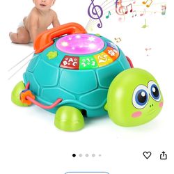 Walking Learning Turtle
