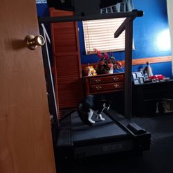 Slightly Used Image Treadmill 