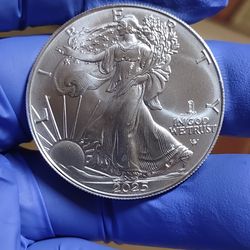 2025 silver eagle eagle privy very low minted ms bu