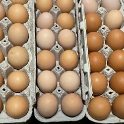 Farm Fresh Eggs 
