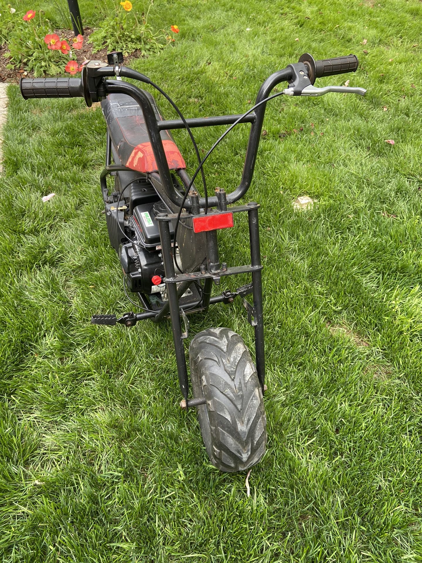 2020 Minibike Motovox