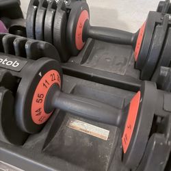 dumbells 