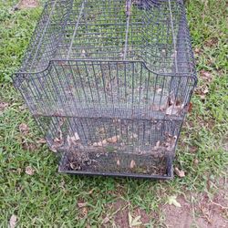 Bird Cage