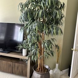 Fake Plant 