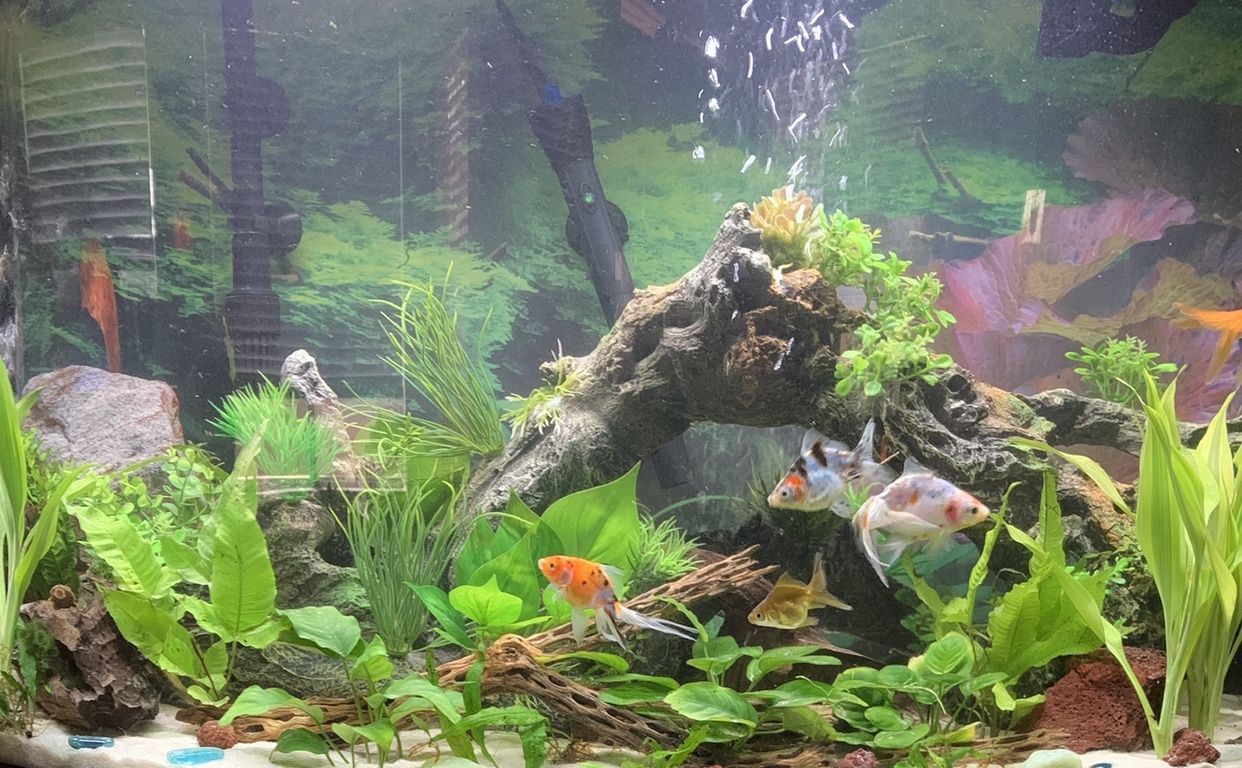 Large Aquarium log w/ plants ornament