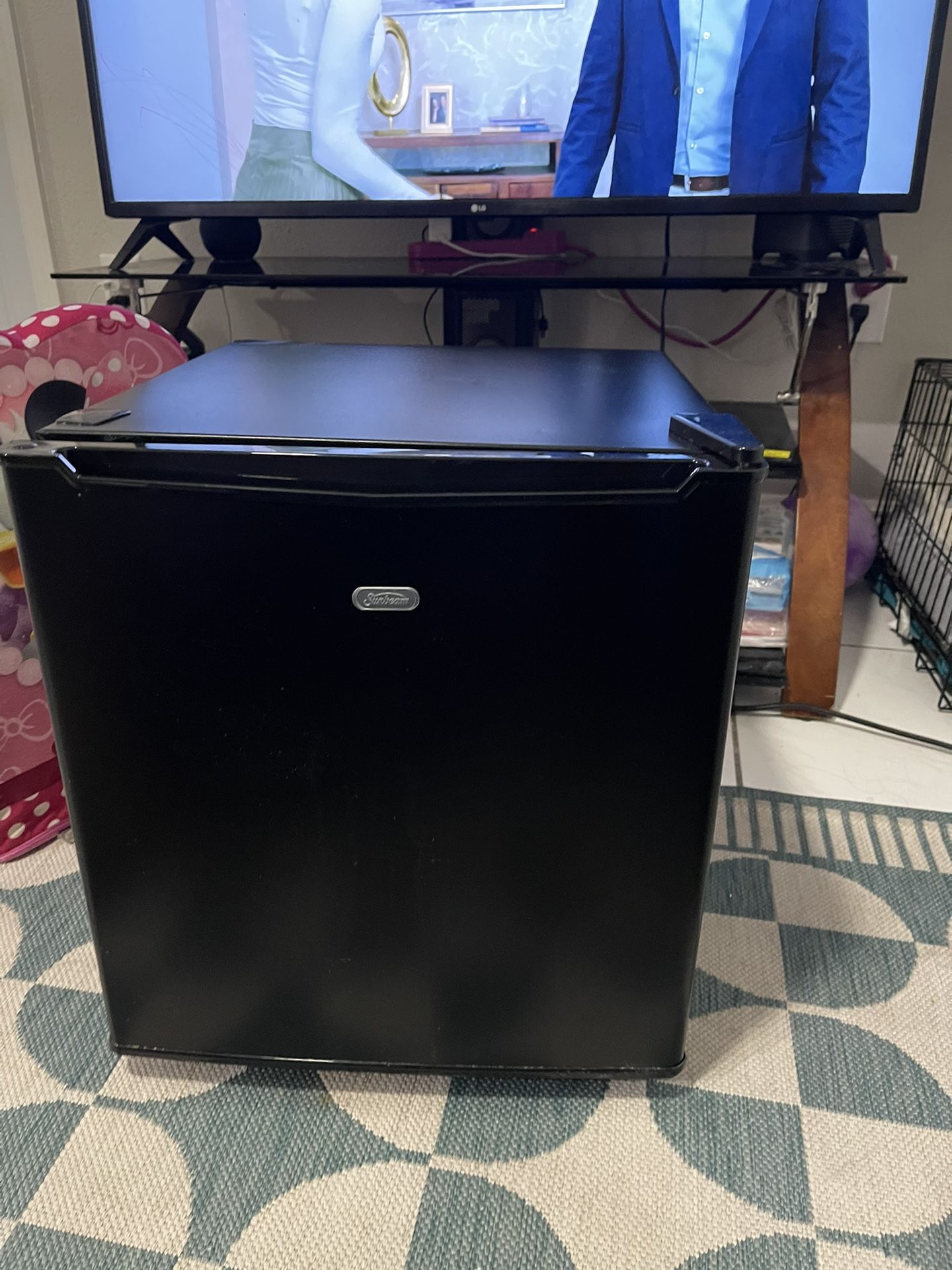 Mini Fridge