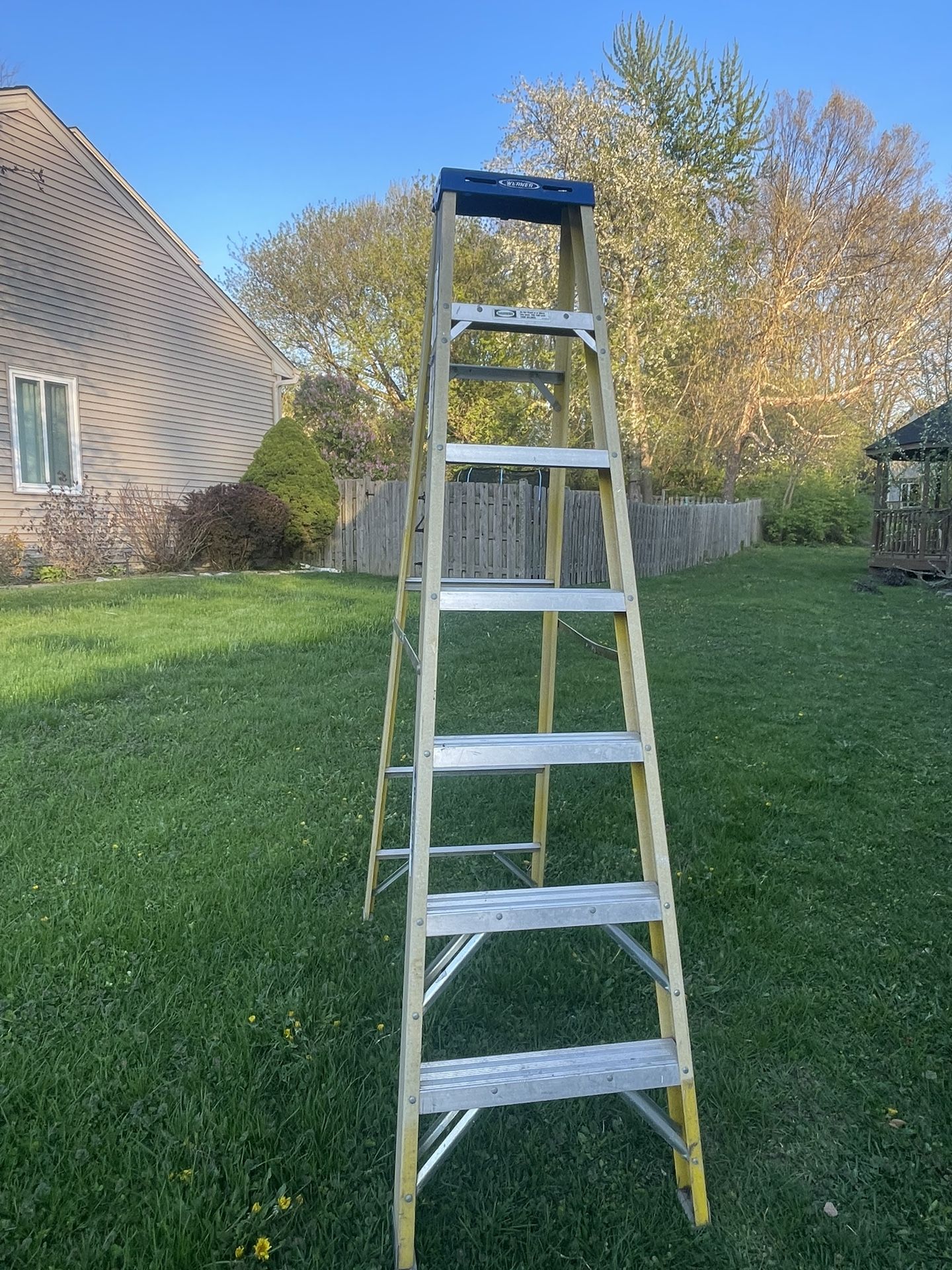 Ladder 7 Ft