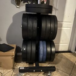 Bumper Plates Only No Weight Tree 650 Lbs