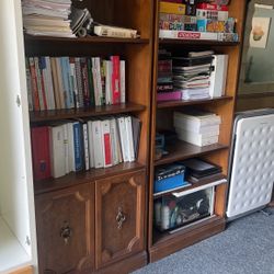 Two Library Shelves 