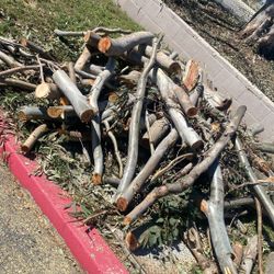 Free Eucalyptus Firewood Is 