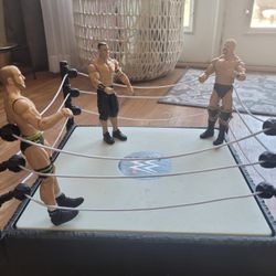 Collectible WWE Wrestlers And Ring