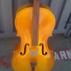 Engelhardt cello model 111