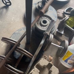 Weights And Squatting Holding Bar