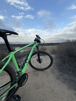 Specialized mountain bike
