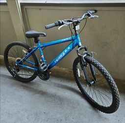 Terra 2.4 Bike