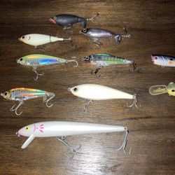 Striper Topwater Freshwater/Saltwater Fishing Lures