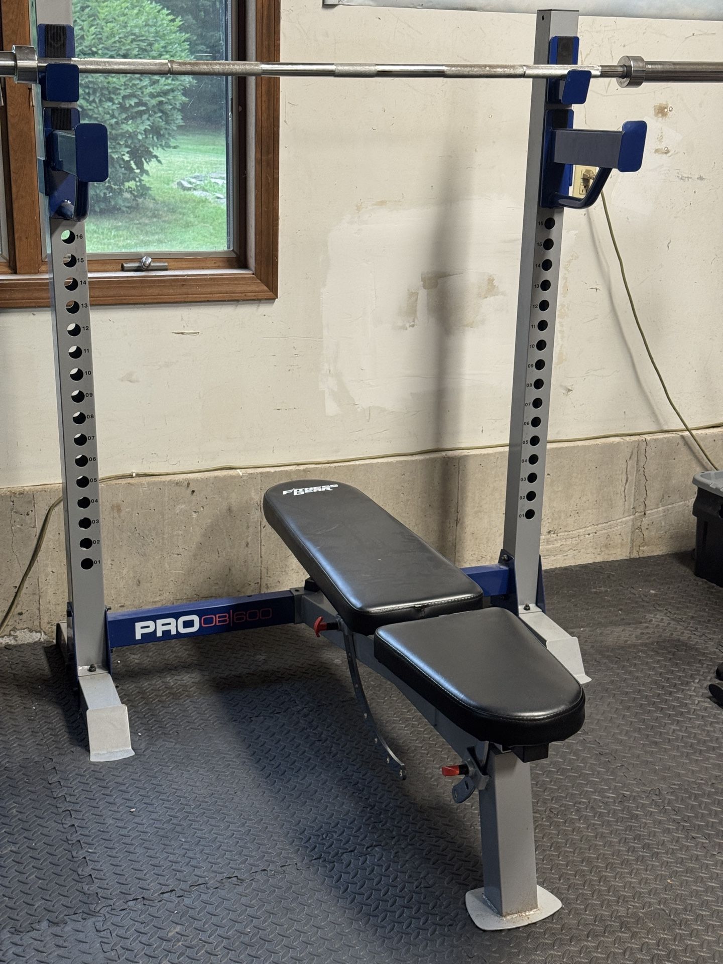 Adjustable Bench Press