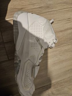 Jordan Zion 2