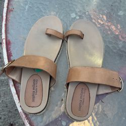 Sandles