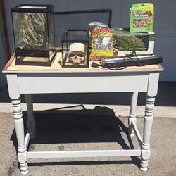 Terrarium Supplies Bundle