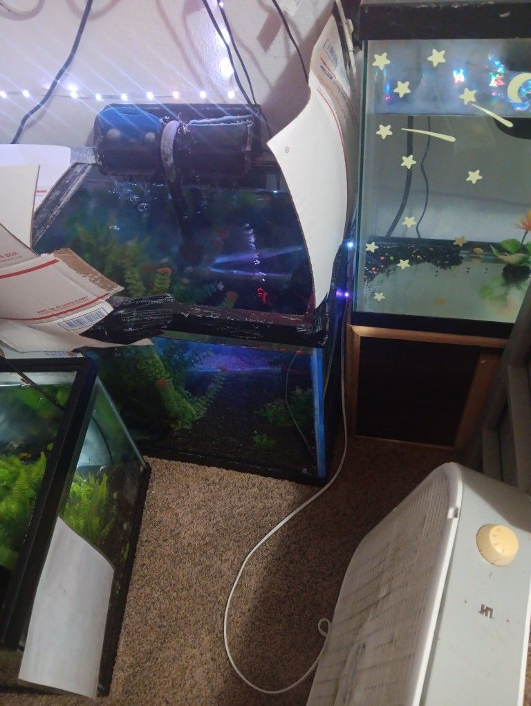 75 Gallon Aquarium