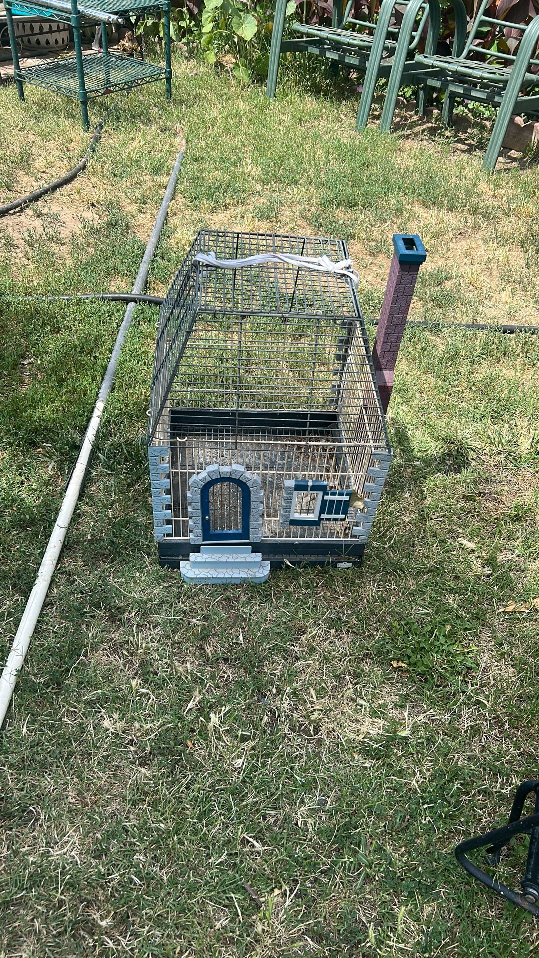 Bird Cage