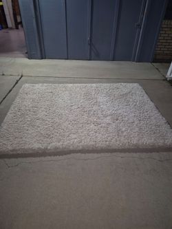Fluffy shag area rug
