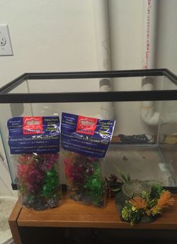 Glass Aquarium with plants