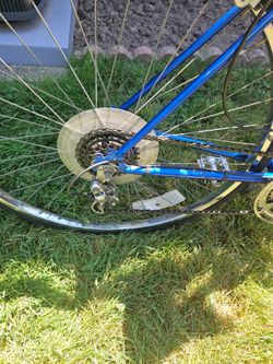 Dynasty free spirit ten speed girl bike