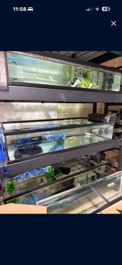 Lowboy Tanks