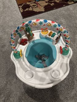 Baby Einstein Deluxe Super Infant Seat