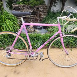 Shogun Selectra Road Bike 58cm