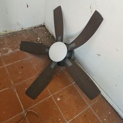 Outdoor Fan