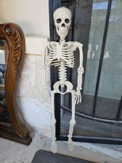 Posable Halloween Posable Skeleton 3' tall