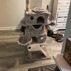 Cat Tower