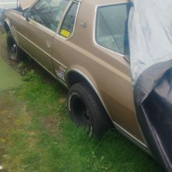 1977 Chevrolet Caprice