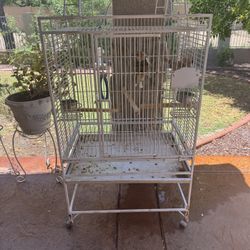Bird Cage 
