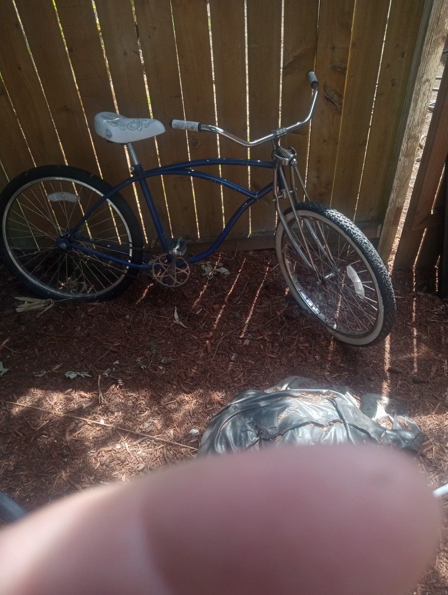 Schwinn Springer $45