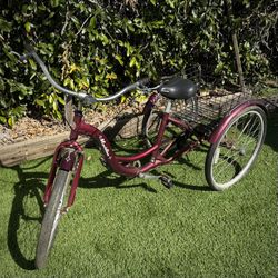 Schwinn Adult Trike