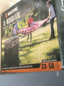 Electric cooler