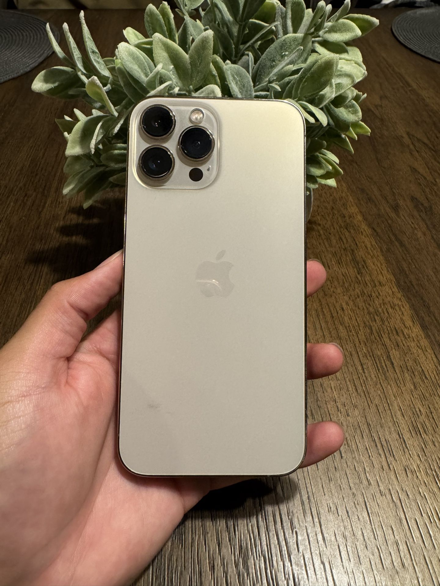 iPhone 13 Pro Max 128gb Factory Unlocked
