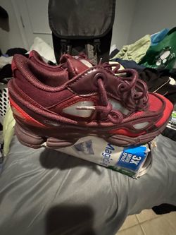 Raf Simon ozweego