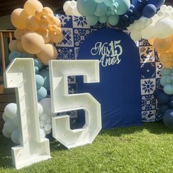 Talavera Party backdrop