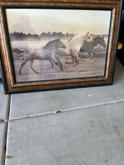 Galloping horses picture