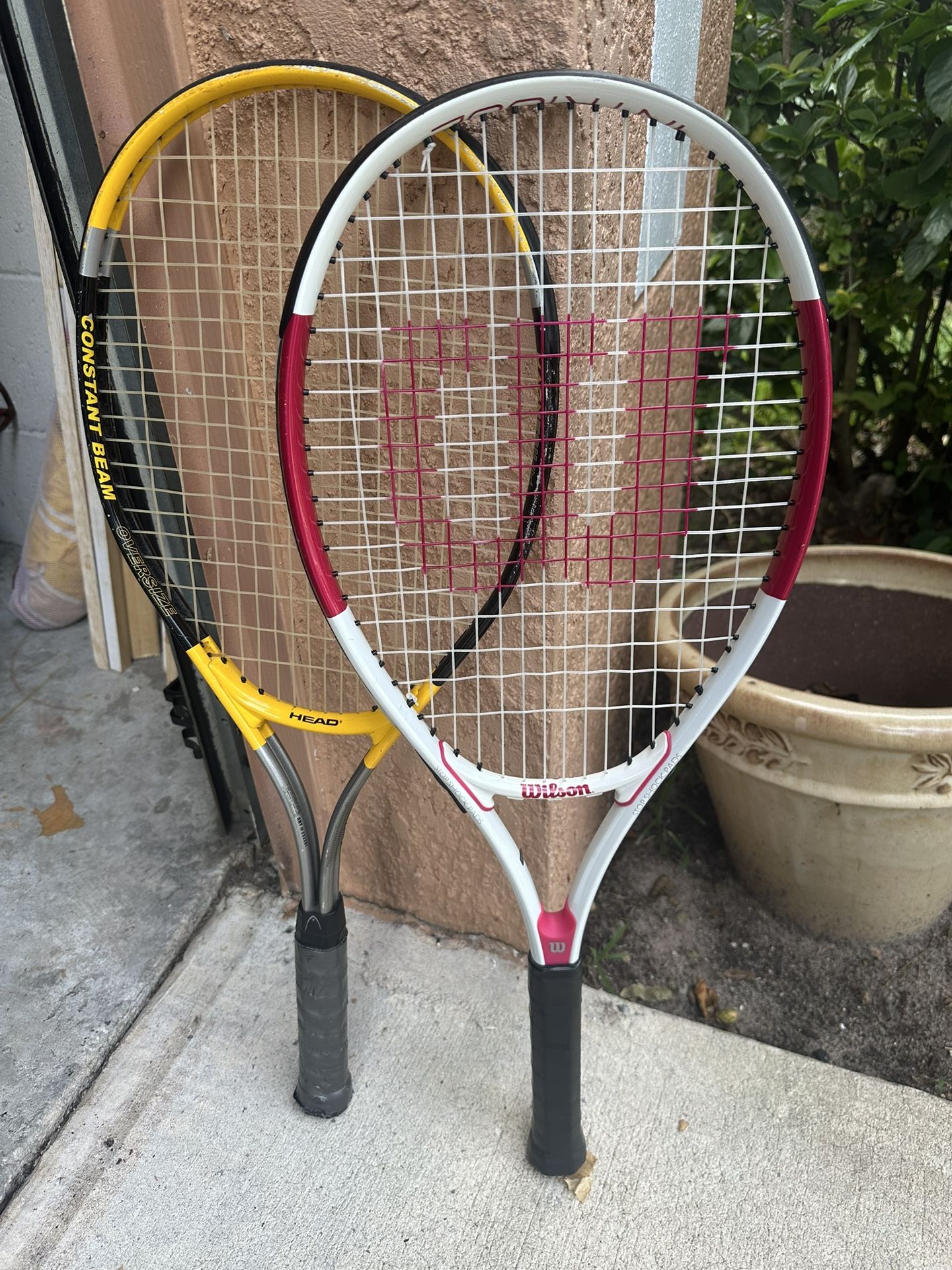 Wilson Intrigue tennis rackets